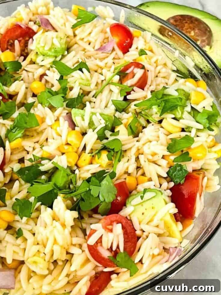 Mexican Orzo Pasta Salad