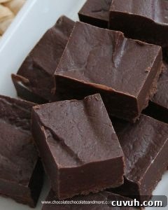 Dulce de Leche Caramel Fudge Recipe: Creamy Latin-Style Squares 8 Easy Chocolate Fudge-just 4 ingredients and a few minutes!