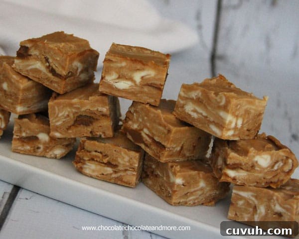 Dulce de Leche Caramel Fudge dulce-de-leche-caramel-fudge-chocolatechocolateandmore-90a