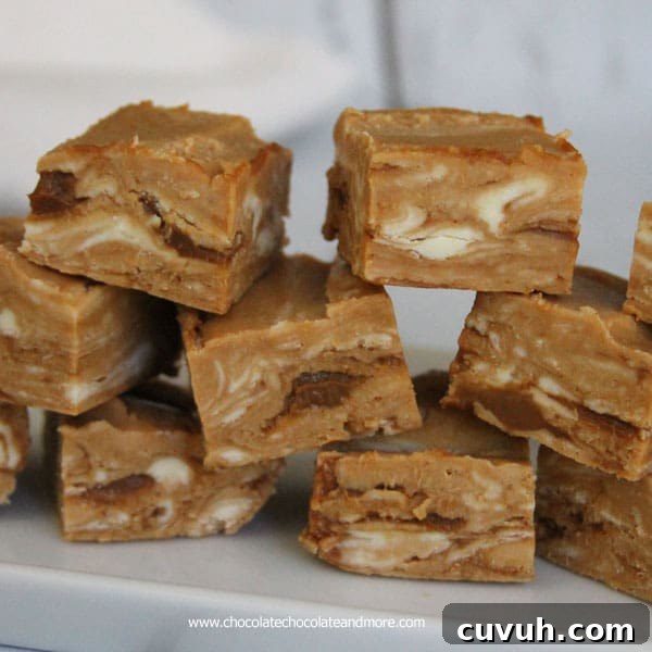 Dulce de Leche Caramel Fudge dulce-de-leche-caramel-fudge-chocolatechocolateandmore-92a