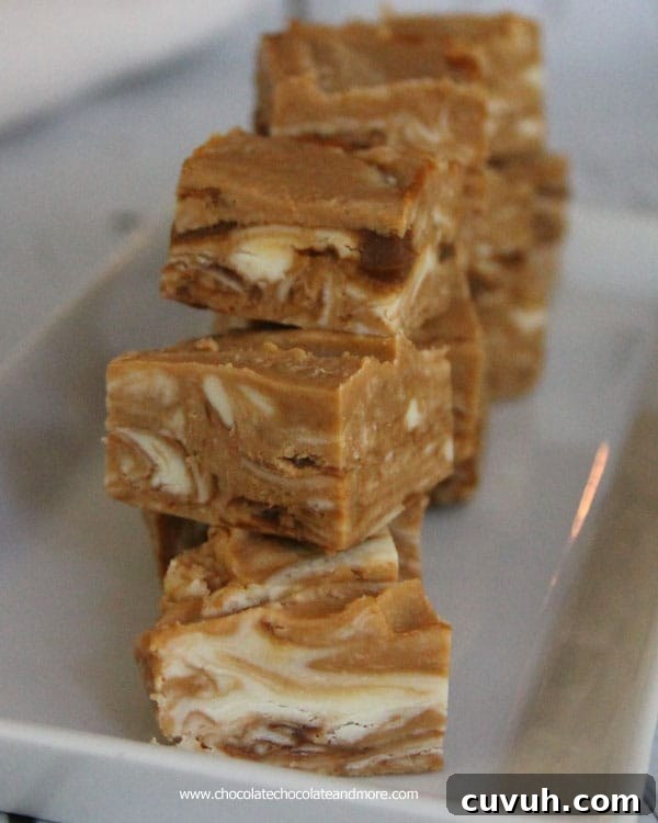 Dulce de Leche Caramel Fudge dulce-de-leche-caramel-fudge-chocolatechocolateandmore-86a