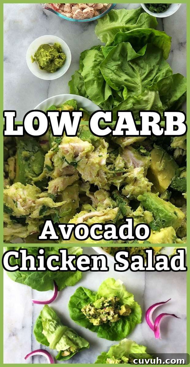 low carb avocado chicken salad #chicken #lettucewraps #avocado #wraps #lettuce #chickensalad