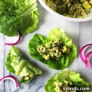 Avocado Chicken Salad Low Carb Wrap Ingredients
