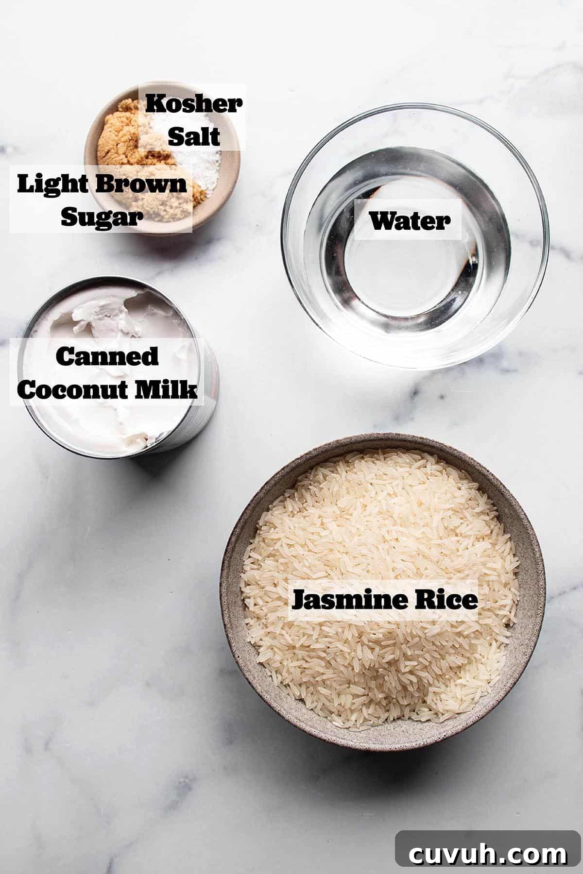 Ingredients to make coconut rice. A bowl of jasmine rice, water, coconut milk, brown sugar and salt.