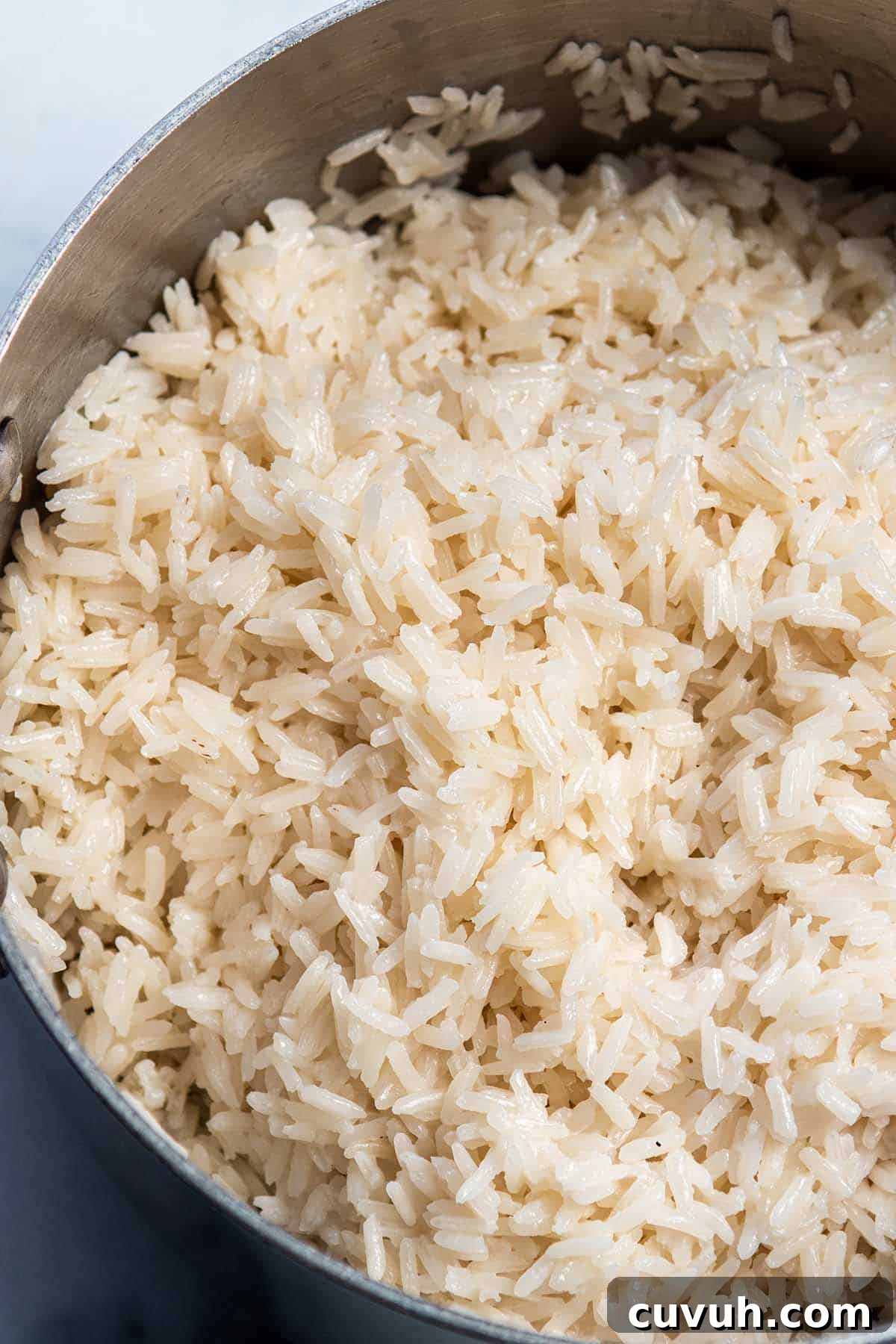A pot with creamy rice.