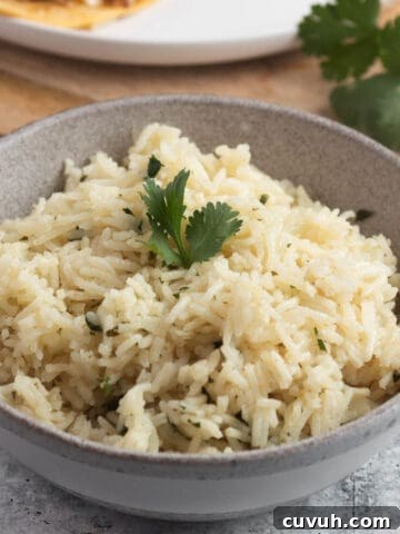 A small bowl with a pile of rice and fresh cilantro.