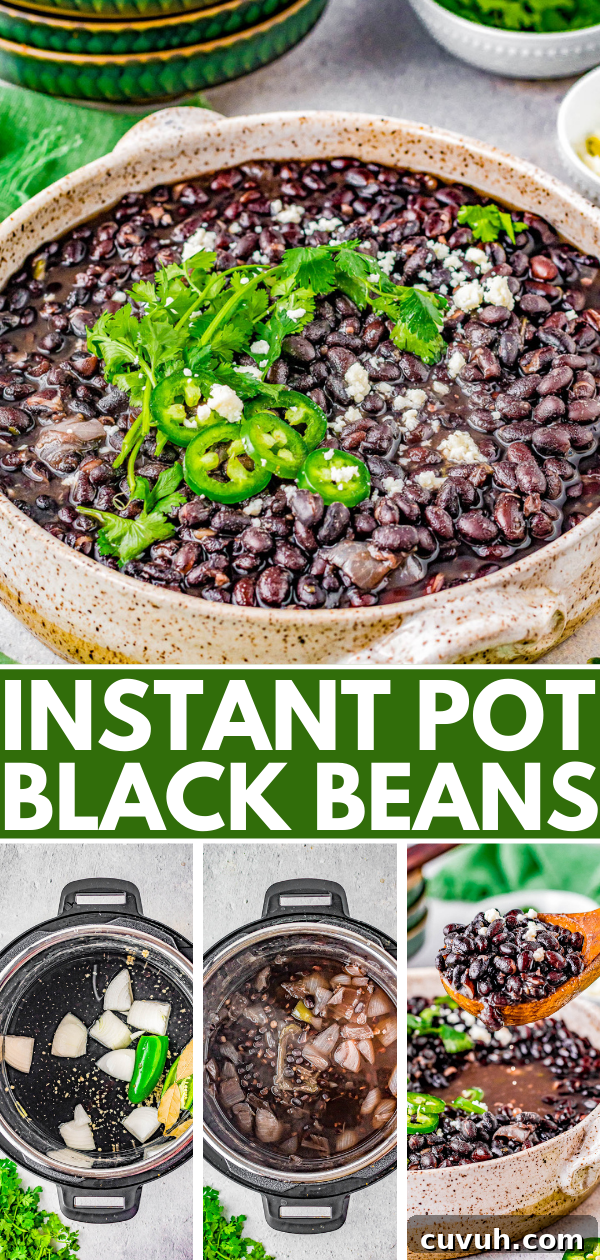 Quick Instant Pot Black Beans Recipe for Perfectly Tender Beans 11 Refried black beans