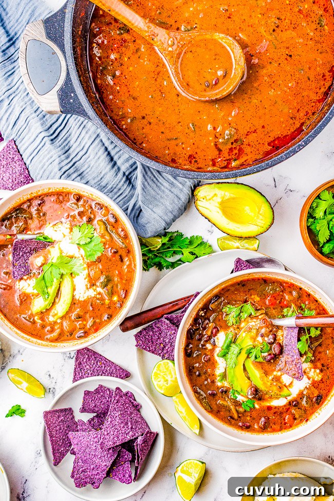 Quick Instant Pot Black Beans Recipe for Perfectly Tender Beans 14 Easy Black Bean Soup