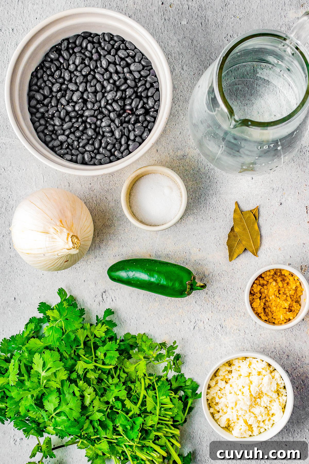 Quick Instant Pot Black Beans Recipe for Perfectly Tender Beans 4 Instant Pot black beans ready to serve