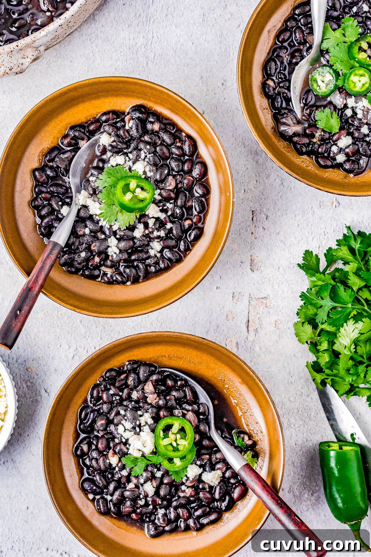 Quick Instant Pot Black Beans Recipe for Perfectly Tender Beans 6 Black beans served with toppings