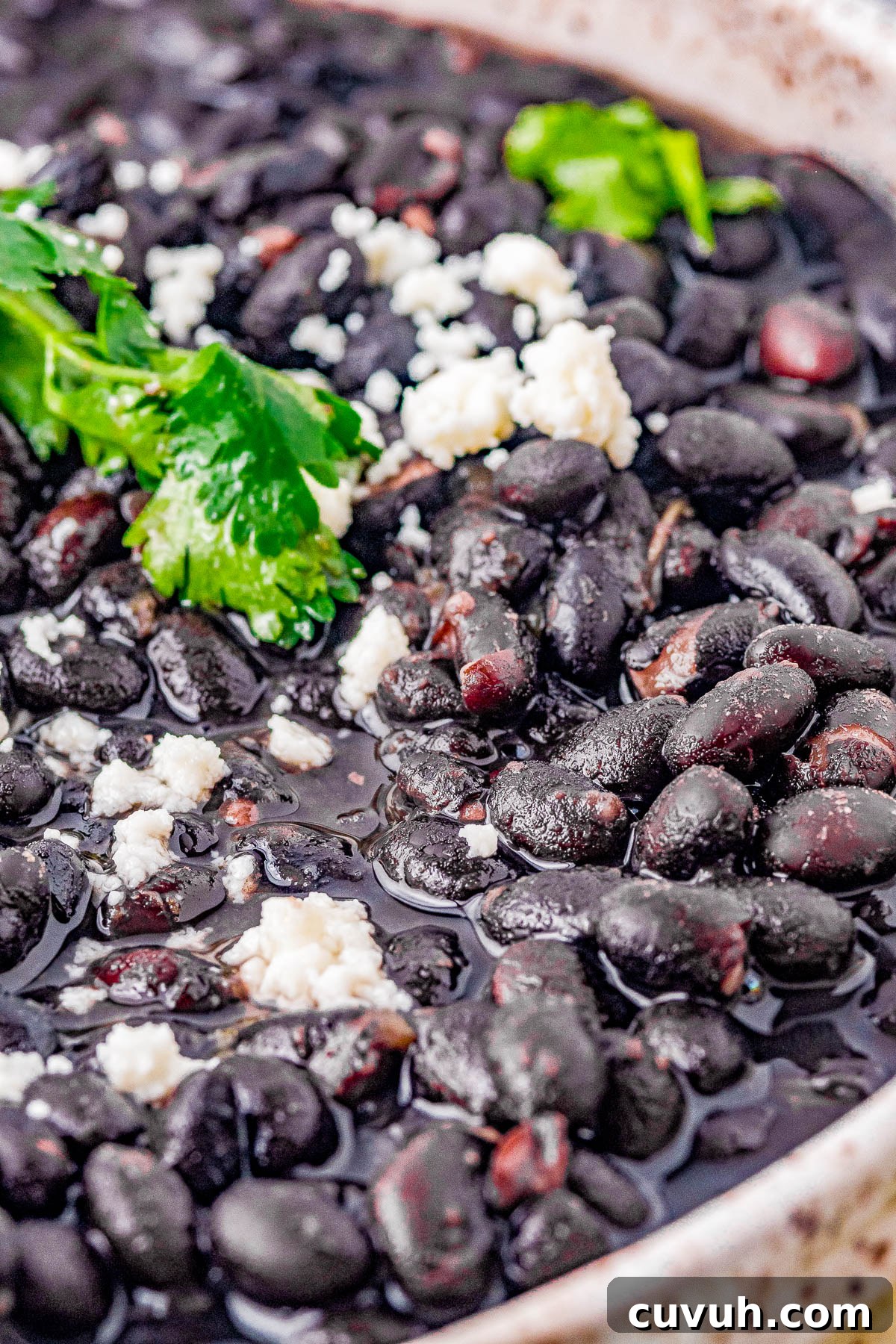 Quick Instant Pot Black Beans Recipe for Perfectly Tender Beans 7 Instant Pot on kitchen counter