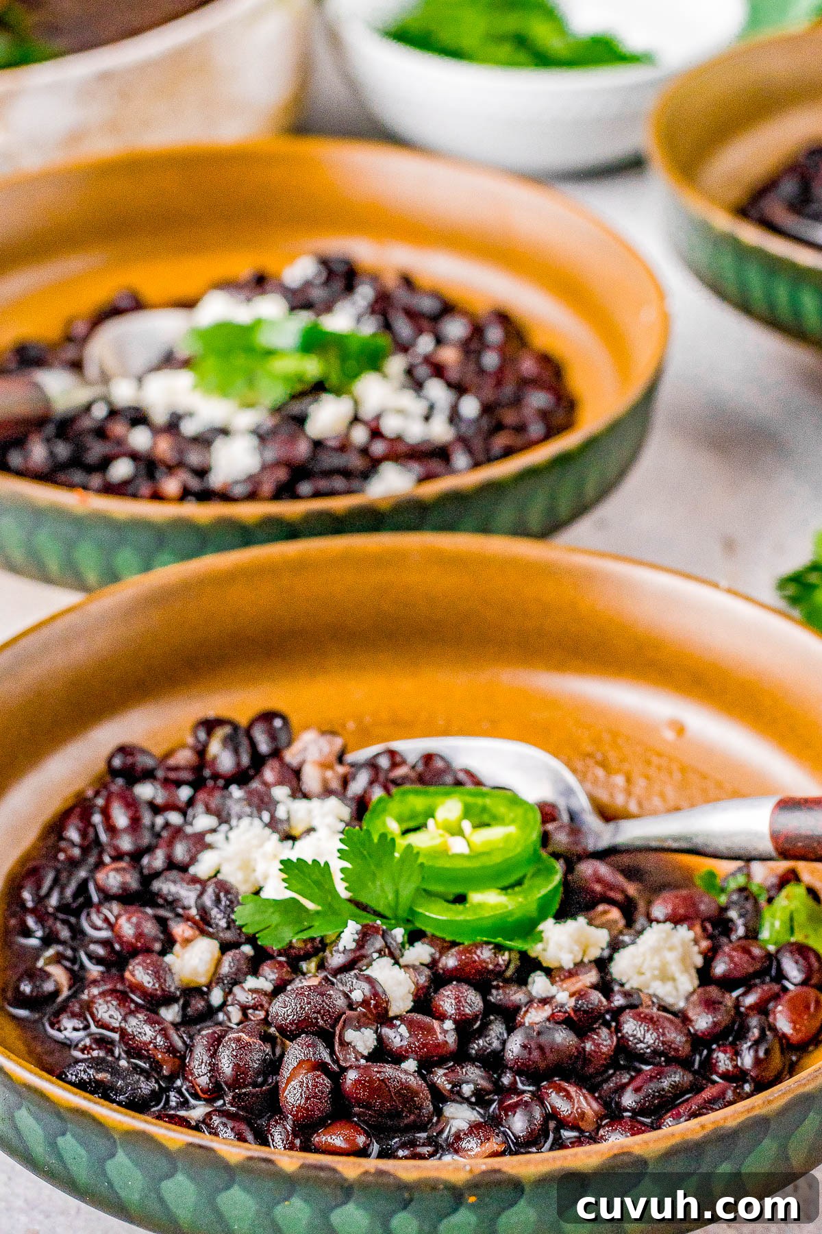 Quick Instant Pot Black Beans Recipe for Perfectly Tender Beans 8 Slow cooker beans