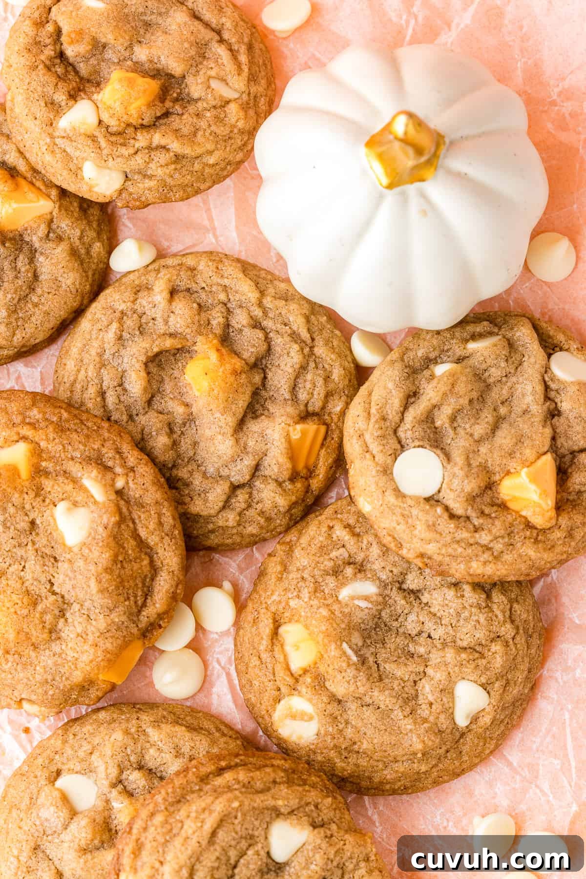 Pumpkin Spice Cookies