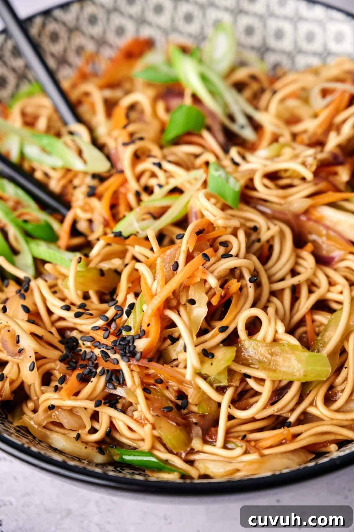 Homemade Chicken Chow Mein Recipe That Beats Takeout 5 A close-up of a bowl filled with delicious chow mein, garnished with sliced green onions and black sesame seeds, with chopsticks resting on the side.