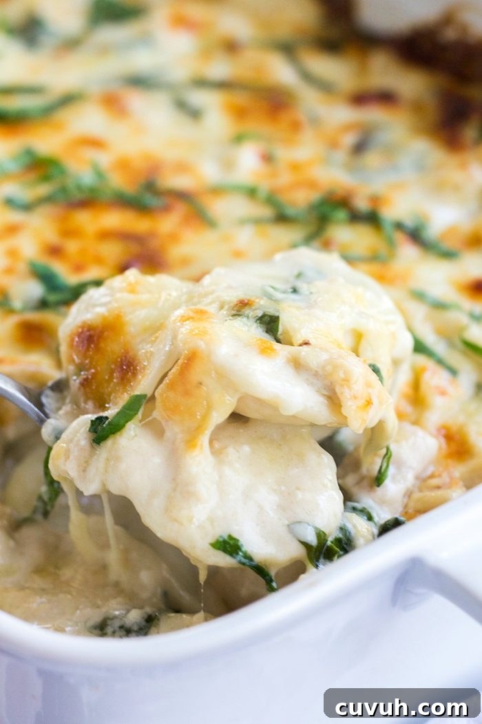 Spinach and Chicken Alfredo Ravioli Bake
