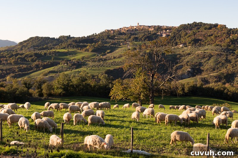 Paugnano