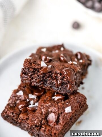 Double Chocolate Chip Cookie Bars