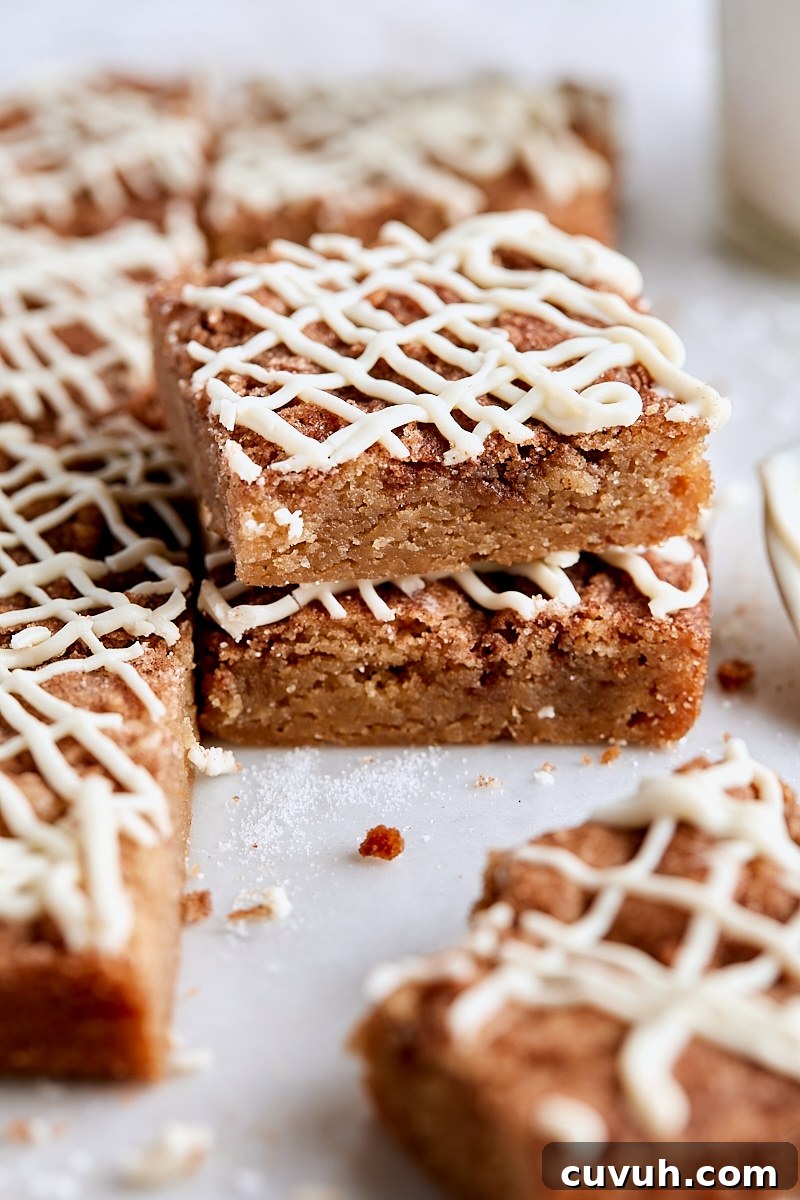 Snickerdoodle Blondies