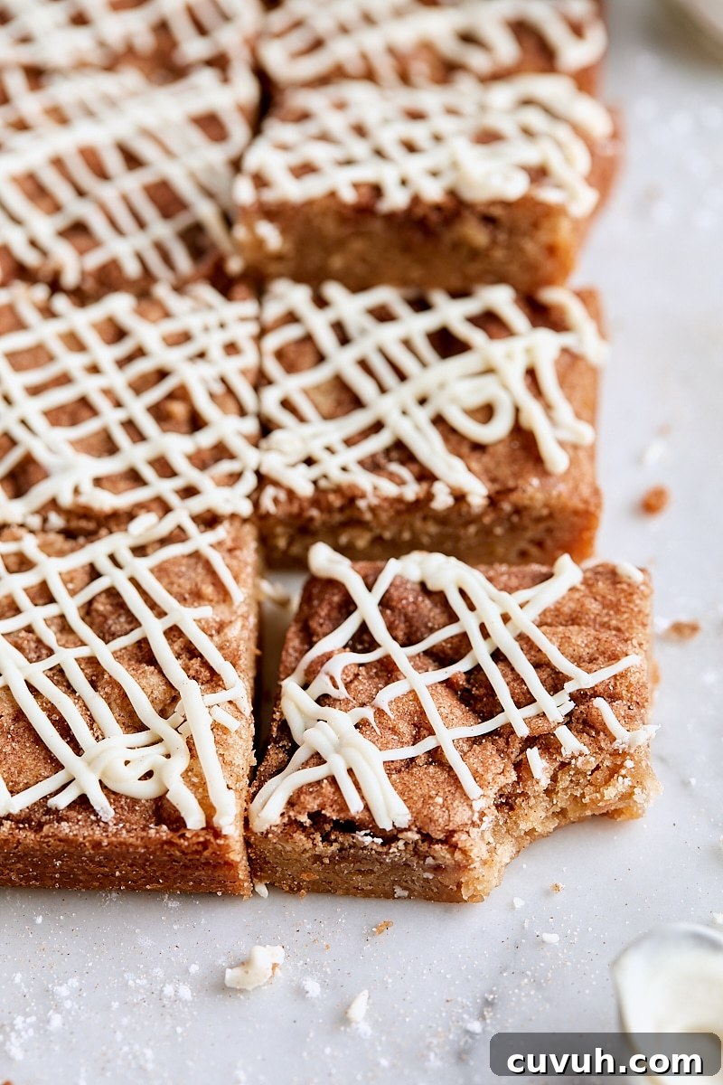 Snickerdoodle Blondies