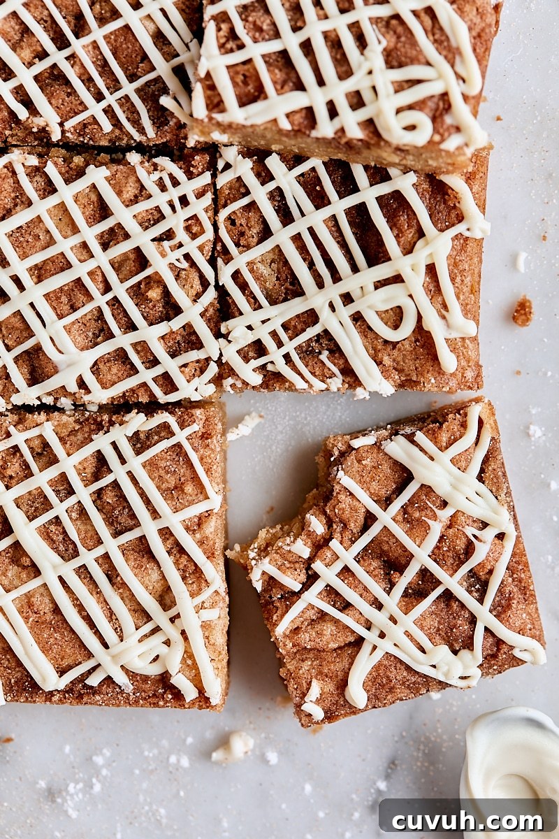 Snickerdoodle Blondies
