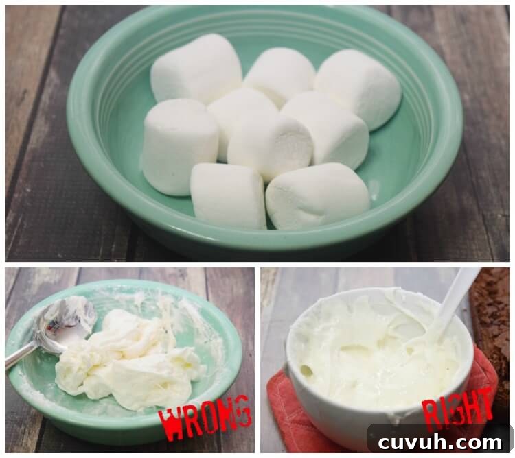 You can see the wrong way and the right way to melt the marshmallows for the spider webs.