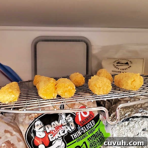 frozen mozzarella sticks on a rack in the freezer