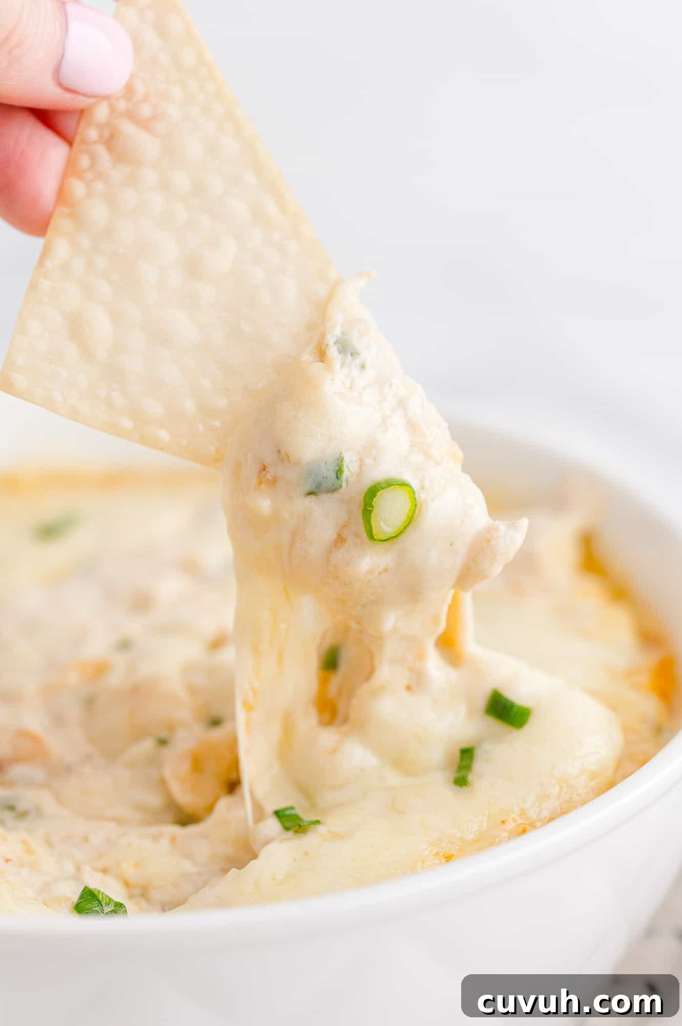 Crispy wonton being dipped into crab rangoon dip.