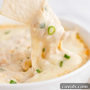 Crispy wonton triangle being dipped into crab and cheese dip.