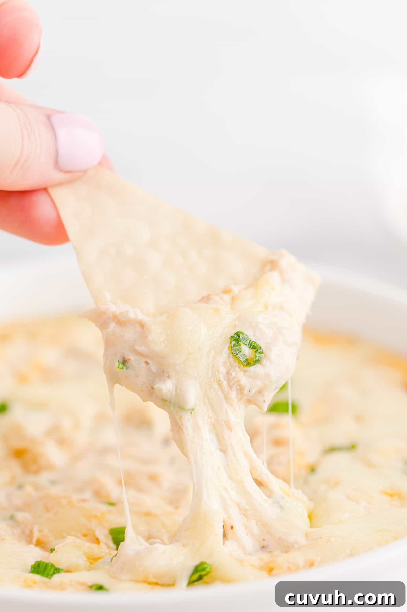 Crispy wonton being dipped into crab dip.