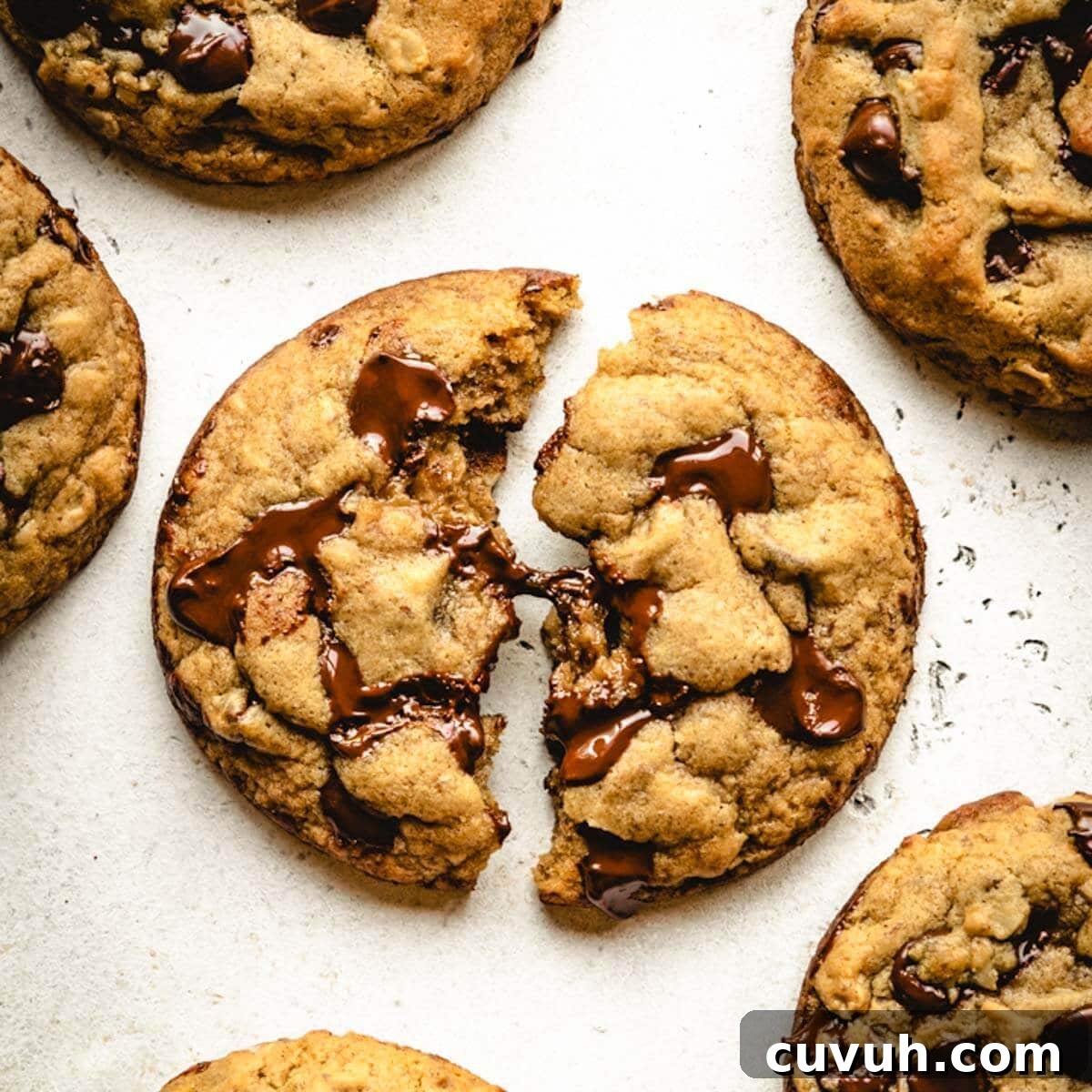 Melted chocolate chips oozing out of a broken-in-half vegan chocolate chip oatmeal cookie.