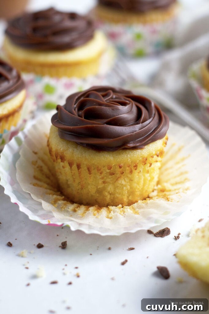 vanilla cupcake with wrapper down, showing texture