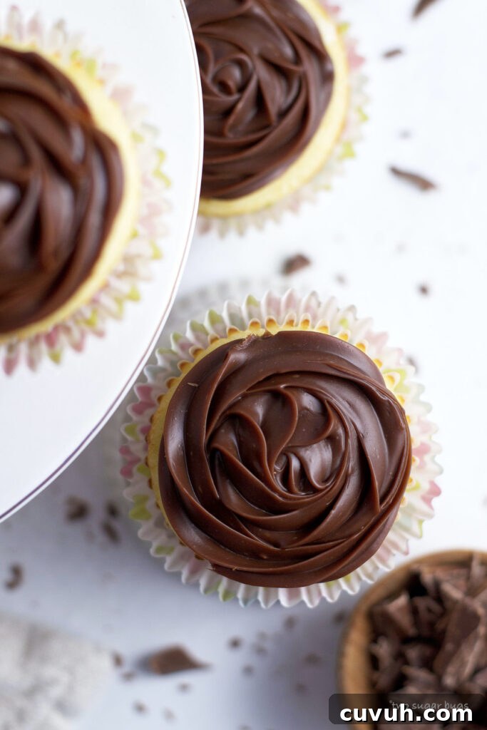 looking down on chocolate ganache swirls